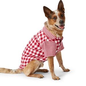 🛑SALE $5.00🛑

Dog Shirt Medium NWT